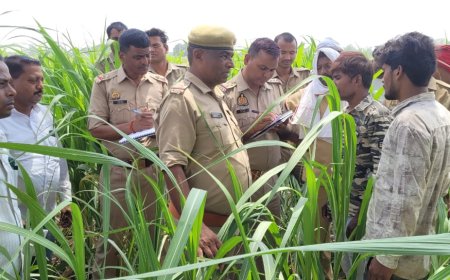 रस्सी के सहारे शीशम के पेड़ पर युवक ने लगाई फांसी--