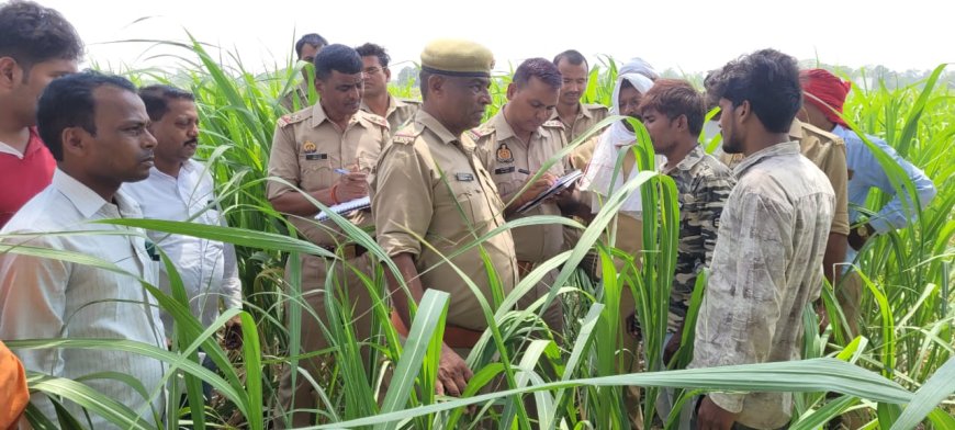 रस्सी के सहारे शीशम के पेड़ पर युवक ने लगाई फांसी--
