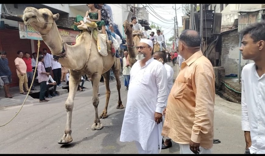 अदबो एहतराम के साथ  इमामबाड़ों से निकला जुलूस--