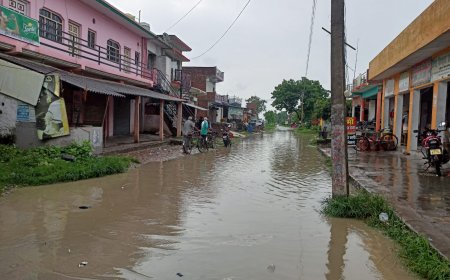 जल जमाव से तालाब बना बाघाडीहा–मुड़ियार मार्ग, चोटिल हो रहे राहगीर