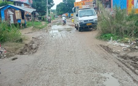 अपनी बदहाली पर आंसू बहा रहा चित्राखोर कराहपिठिया मार्ग---