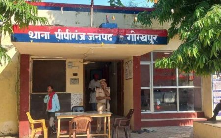 सहजनवां पुलिस ने बरामद की नाबालिग बालिका---