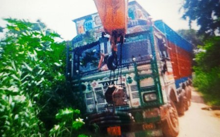 लुधियाना से कच्चा माल लादकर आ रहा  ट्रक गड्ढे में फंसा