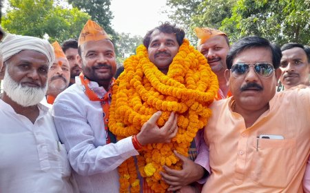 नवागत भाजपा जिलाध्यक्ष का भाजपाईयों ने किया जोरदार स्वागत--