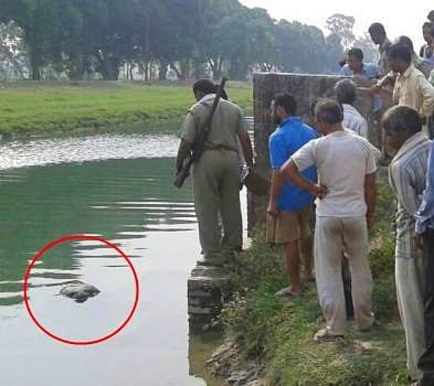 कुआनों नदी में उतराता मिला शव, शिनाख्त में लगी पुलिस
