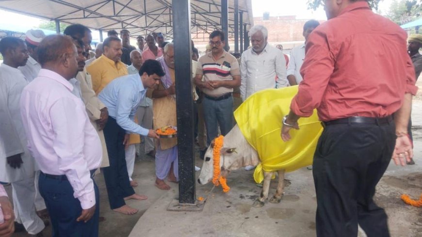 नवागत डीएम अंद्रा वामसी ने गौ सेवा कर मनाया जन्माष्टमी