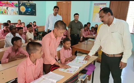 संविलियन विद्यालय पाऊं व डेल्हवा का बीईओ ने किया  औचक निरीक्षण--