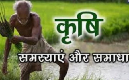 उर्वरक के साथ नैनो डीएपी की टैगिंग कर बेच रहे संचालक