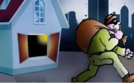 विद्यालय में लगे सीसीटीवी कैमरों को चुरा ले गए चोर