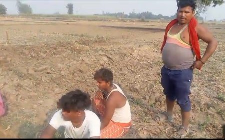 फर्जी तरीके से लग रहा है मनरेगा हाजिरी, साइड पर नहीं मिले एक भी मजदूर