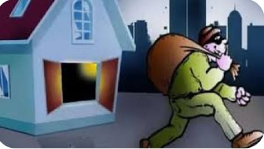 विद्यालय में लगे सीसीटीवी कैमरों को चुरा ले गए चोर