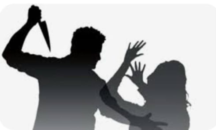 पति ने चाकू से गोदकर की पत्नी की हत्या,सनसनी