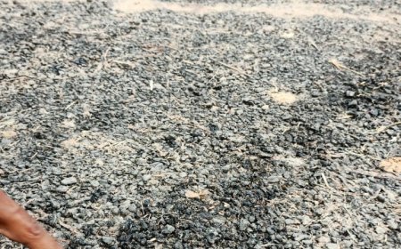 एक सप्ताह पहले बनी सड़क से अलग होने लगी गिट्टियां--