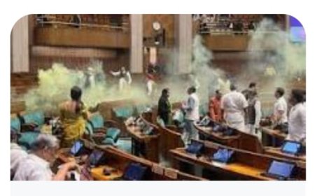 लोकसभा में दर्शक दीर्घा से कूदा युवक, जूते से स्प्रे निकालकर फैला दिया धुआं