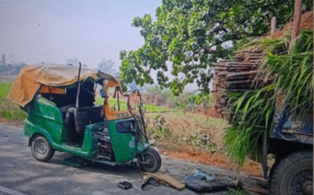 सड़क पर खड़ी ट्रैक्टर-ट्राली में घुसा अनियंत्रित ऑटो, यात्री घायल