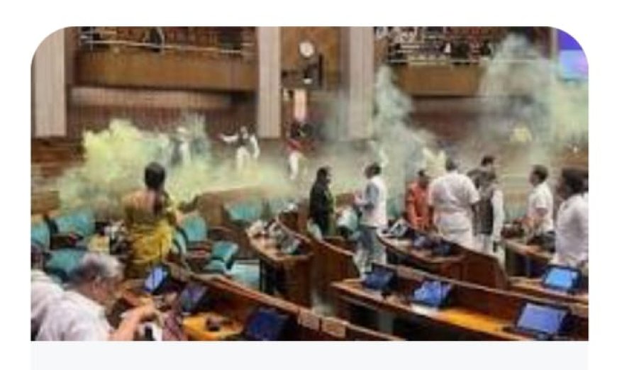 लोकसभा में दर्शक दीर्घा से कूदा युवक, जूते से स्प्रे निकालकर फैला दिया धुआं