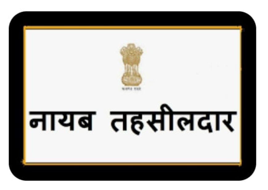 नायब तहसीलदार पर हमला मामले में दो गिरफ्तार