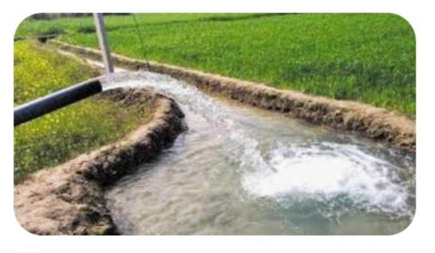 समय से पहले करनी पड़ रही गेहूँ की सिंचाई, किसानों की सांसत