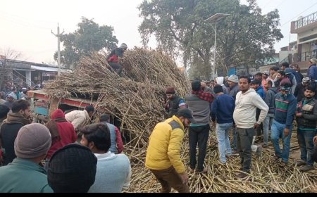 अनियंत्रित ट्रेलर से भरभराकर गिरा गन्ना,दम्पति घायल-अस्पताल रेफर