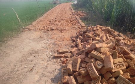 मानक विहीन सीसी रोड निर्माण कार्य से ग्रामीणों में आक्रोश