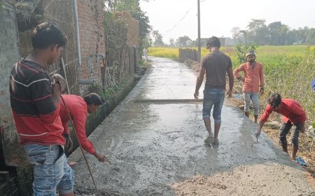 नायकापार ग्राम पंचायत के समुचित विकास करने का लक्ष्य- मंटू सिंह