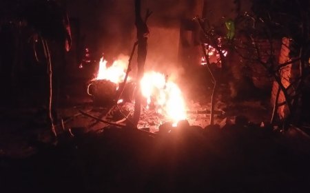 छप्पर में लगी आग से तीस बकरियों की मौत, बाइक भी जली