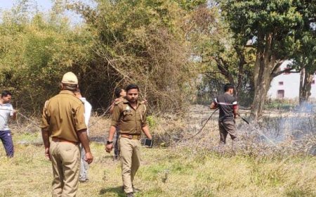 घुईशापुर बगीचे में लगी आग,झाड़ियां जलकर खाक