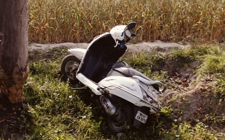 अनियंत्रित स्कूटी पेड़ से टकराई,तीन घायल