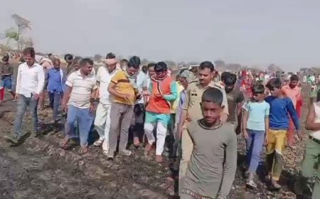 22 किसानों का करीब 30 बीघा गेहूँ की फसल जलकर राख
