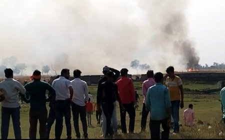 अज्ञात कारणों से लगी आग सैकड़ों बीघा गेहूं की फसल खाक