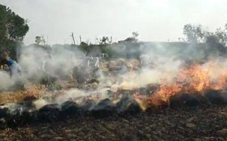 कुढ़वा सीवान में लगी आग,फसलें जलकर खाक