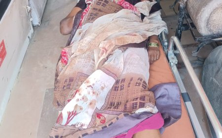 सांड़ व बाइक की टक्कर में दो घायल, महिला गंभीर