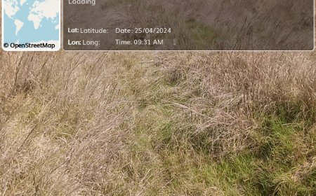 नहर सफाई के नाम पर मनरेगा में फर्जीवाड़ा की होगी जांच--बीडीओ