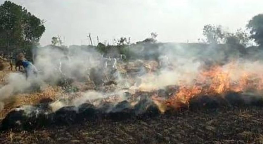 कुढ़वा सीवान में लगी आग,फसलें जलकर खाक