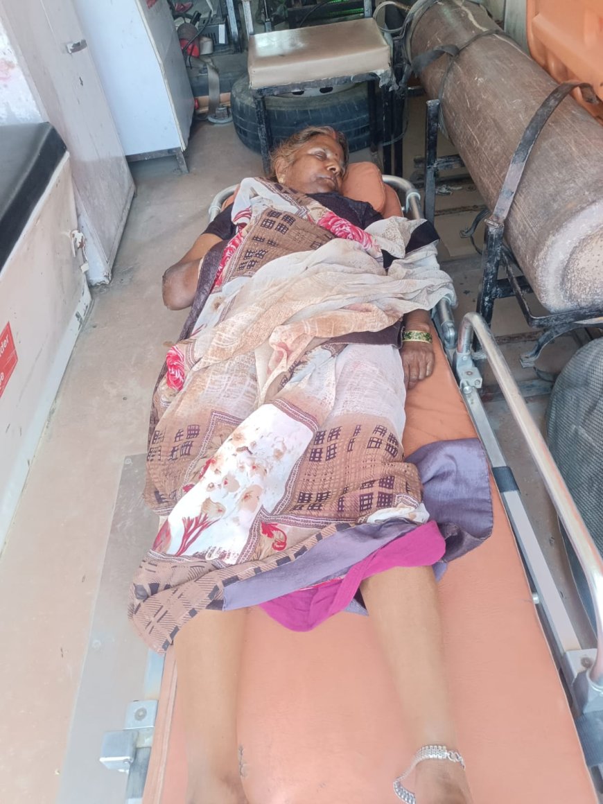 सांड़ व बाइक की टक्कर में दो घायल, महिला गंभीर