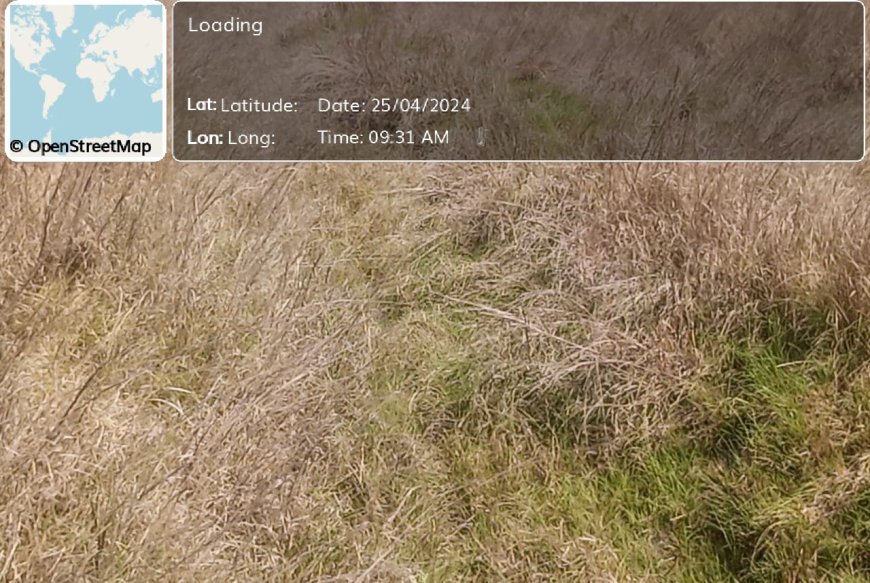 नहर सफाई के नाम पर मनरेगा में फर्जीवाड़ा की होगी जांच--बीडीओ