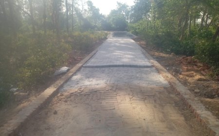 प्रधान व सचिव को इंटरलॉकिंग निर्माण कार्य की जानकारी ही नही ?....