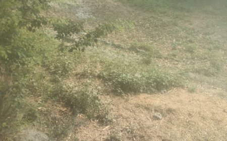 शिकायत के बाद भी नही रुक रहा मनरेगा में फर्जीवाड़ा