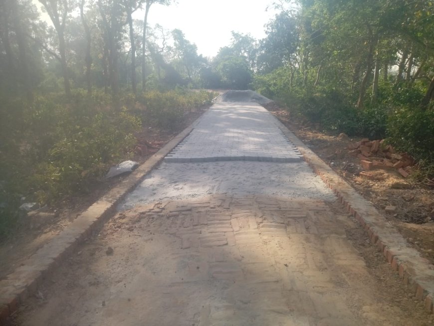 प्रधान व सचिव को इंटरलॉकिंग निर्माण कार्य की जानकारी ही नही ?....