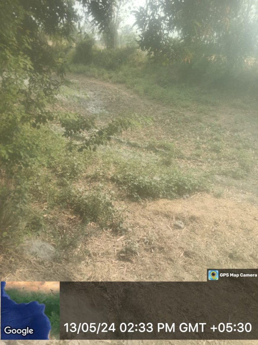 शिकायत के बाद भी नही रुक रहा मनरेगा में फर्जीवाड़ा