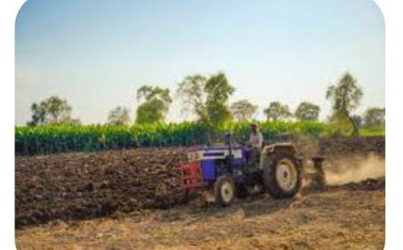 पूर्व ग्राम प्रधान पर जबरिया खेत जोत लेने का आरोप