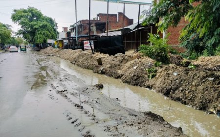 नाला खोदकर भूल गए जिम्मेदार,ग्रामीणों व राहगीरों के लिए मुसीबत