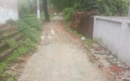 7 मीटर सड़क बनाने की मांग, क्या सचमुच बारिश में धंस गई सड़क ?