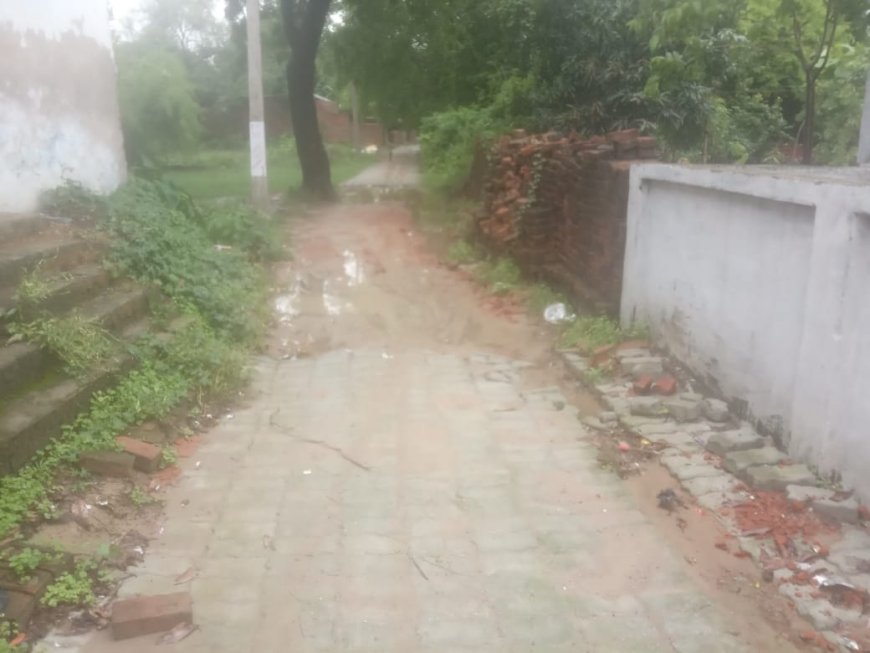 7 मीटर सड़क बनाने की मांग, क्या सचमुच बारिश में धंस गई सड़क ?