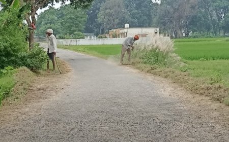 ग्राम प्रधान ने बदल दी गांव की तस्वीर