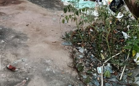 अस्पताल परिसर में गंदगी का अंबार, स्वच्छता पखवाड़ा की धज्जियां उड़ा रहे जिम्मेदार