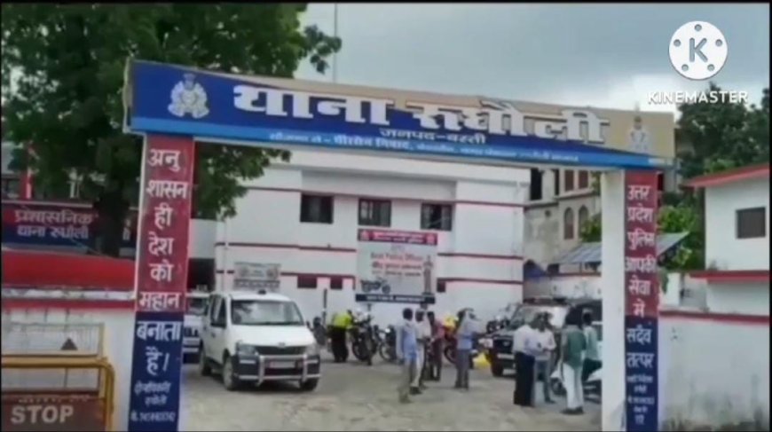 भैंस के हमले में बाइक सवार दंपति घायल,पत्नी को मौत