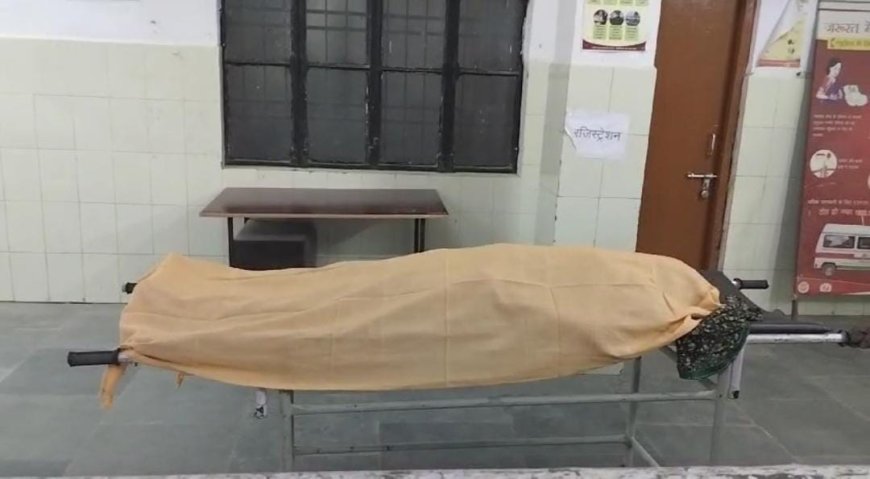 घास काटने गई महिला को सांप ने काटा, मौत