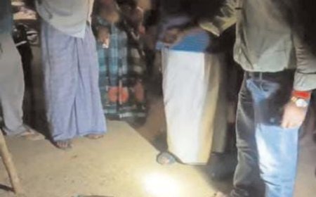 तालाब किनारे झाड़ियों में छिपा था घड़ियाल का बच्चा