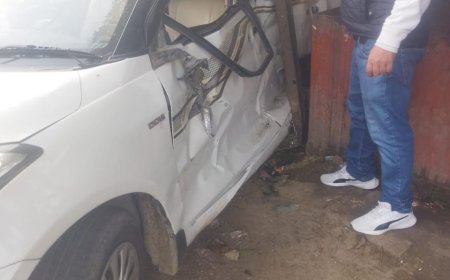 सड़क हादसे में कार चालक समेत पांच लोग घायल,महिला की मौत